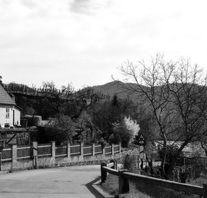 Bare trees and buildings against sky