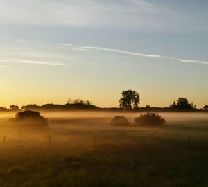 Scenic view of field against sky during sunset