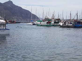 Boats moored in sea against sky