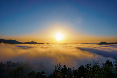 Scenic view of silhouette trees against sky during dawn