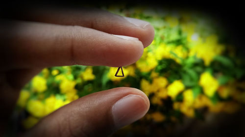 Close-up of hand holding small leaf