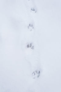 High angle view of snow on field