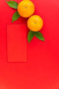 High angle view of orange fruits