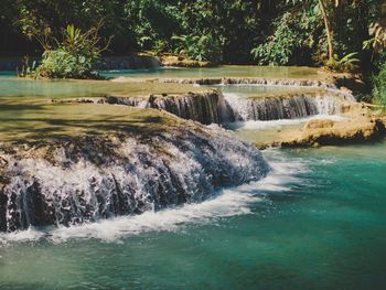 Scenic view of waterfall in forest