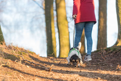 Low section of woman with dog walking on street