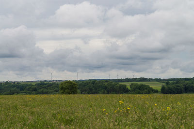 Scenic view of field against cloudy sky