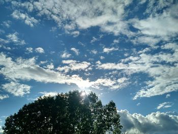 Low angle view of trees against cloudy sky