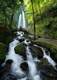 Stream flowing through rocks in forest