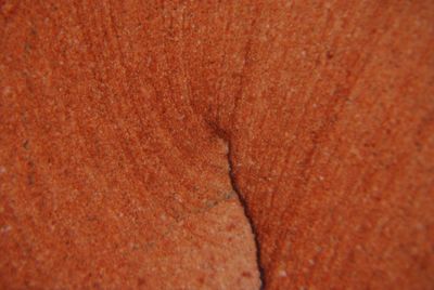 Full frame shot of textured surface