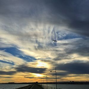 Low angle view of silhouette airplane flying over sea against sky