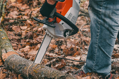 Cutting trees in autumn in woods. man's hands hold a chain saw.