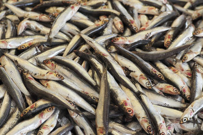 Full frame shot of fish for sale at market