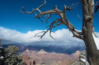 Scenic view of tree mountains against sky