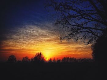 Silhouette of trees at sunset