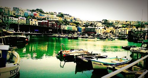 Boats moored at harbor against clear sky