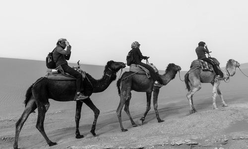 People riding horses on sand against clear sky