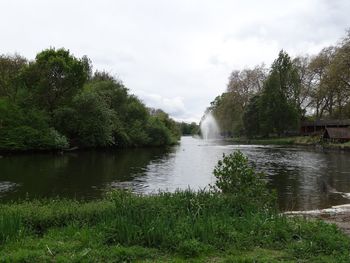 Scenic view of waterfall