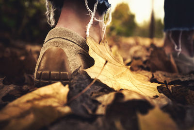 Low section of woman standing on dry leaves