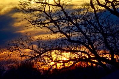 Low angle view of silhouette bare trees against sky