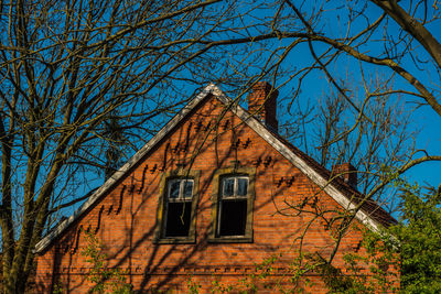 Low angle view of bare trees and building against sky