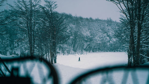 Bare trees on snow covered landscape