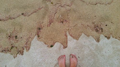 Low section of woman standing on beach