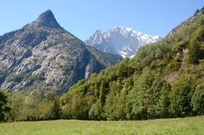 Scenic view of landscape against clear sky