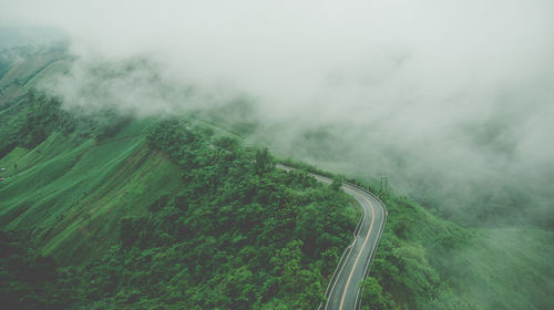 High angle view of road amidst trees