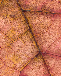 Full frame shot of cracked floor