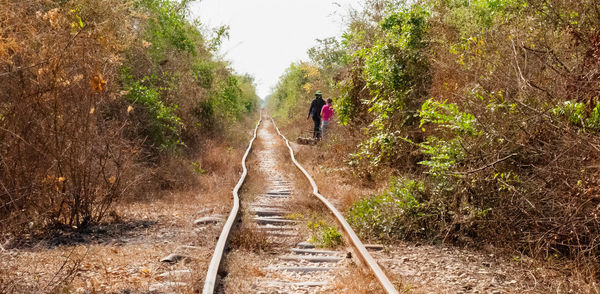 Rear view of man walking on dirt road amidst trees in forest