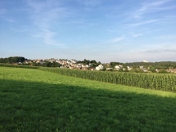 Scenic view of field against sky