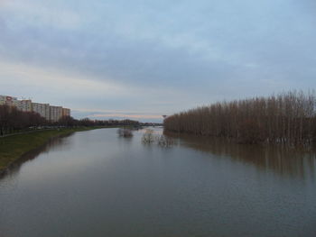 Reflection of trees in river