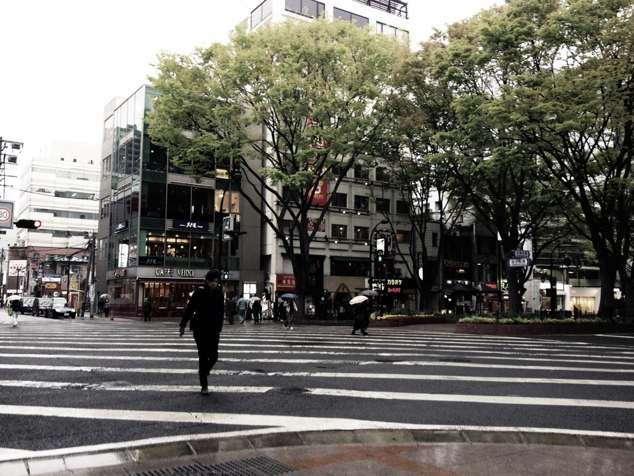 building exterior, architecture, built structure, city, street, transportation, tree, city life, walking, incidental people, sidewalk, men, road, car, person, city street, the way forward, zebra crossing, day