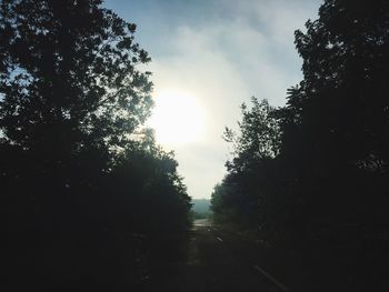 Road amidst trees in forest against sky