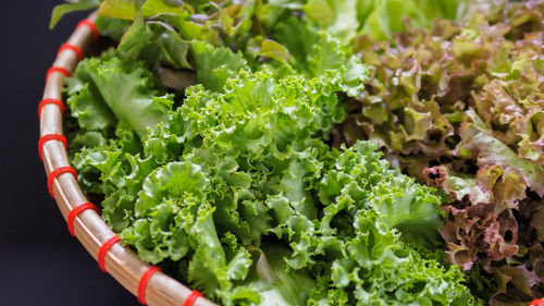 High angle view of vegetables in bowl