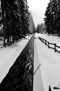Road amidst trees against clear sky during winter