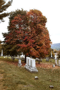 Trees on field against sky during autumn