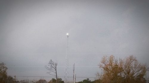Low angle view of bare trees against sky