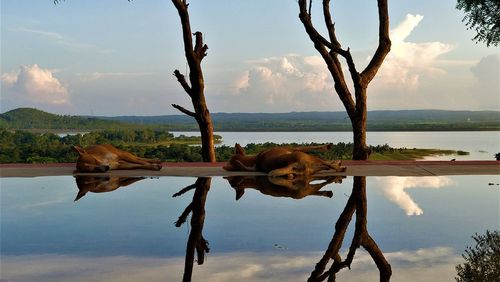 Scenic view of lake against sky