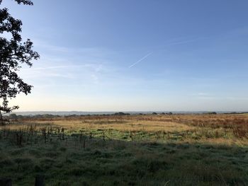 Scenic view of field against sky