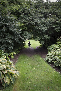 Man walking on footpath amidst trees
