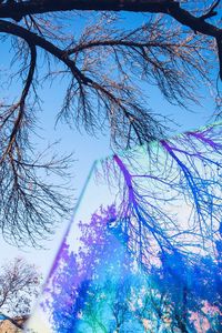 Low angle view of bare tree against clear sky