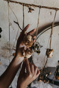 Two hands holding dried roses