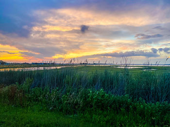 Scenic view of grassy field against sky during sunset