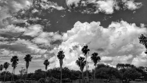 Low angle view of trees against cloudy sky