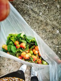 Low section of person holding vegetables in container