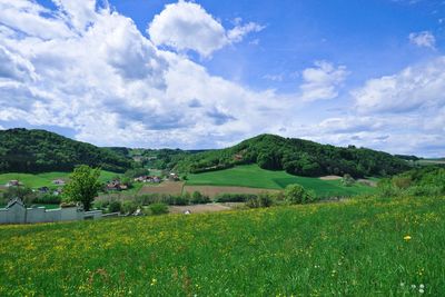Scenic view of landscape against sky