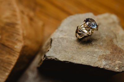 Close-up of insect on rock