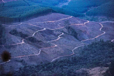 Full frame shot of agricultural landscape