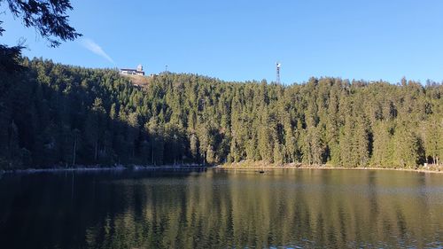 Scenic view of lake by trees in forest against sky